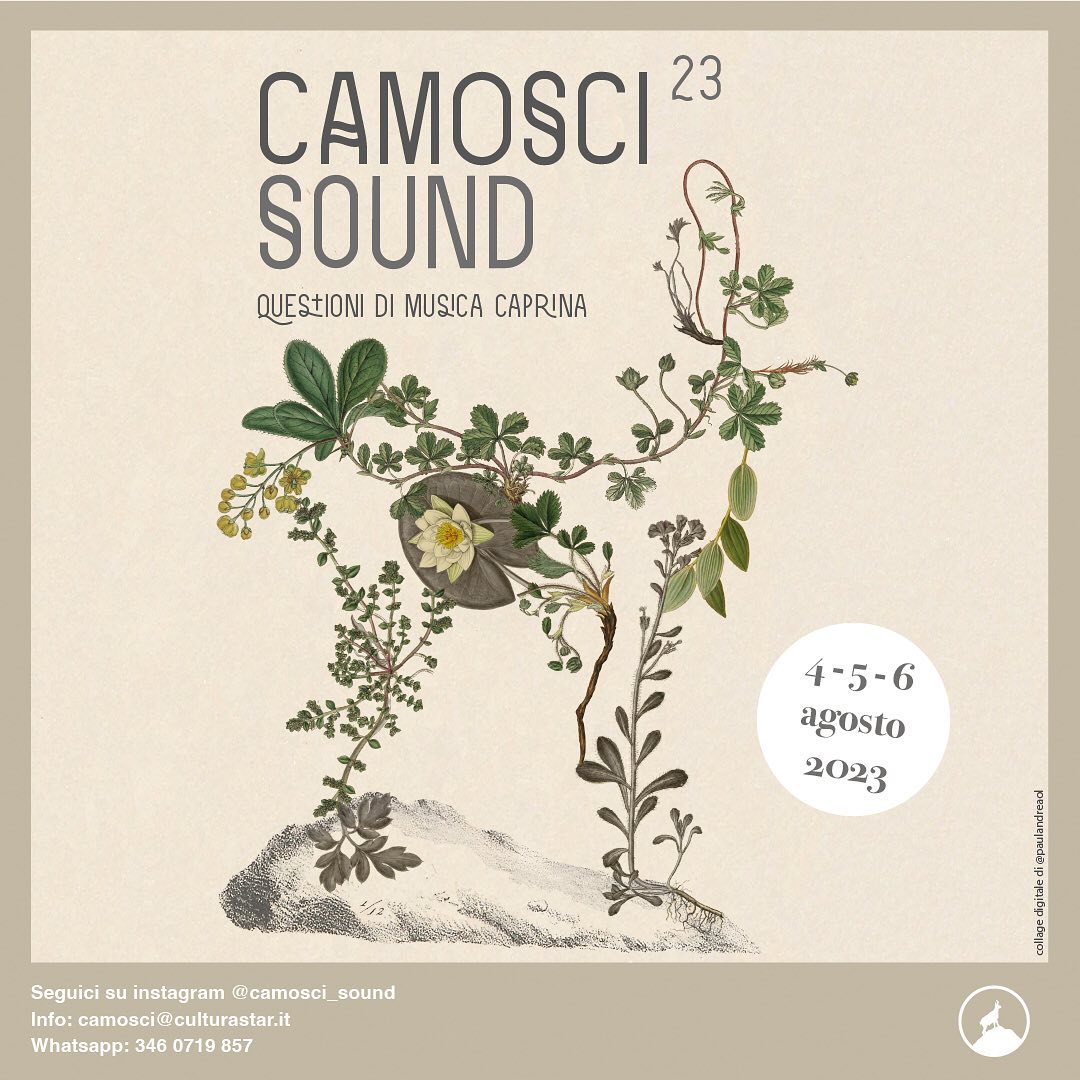 CAMOSCI SOUND 2023 – il festival