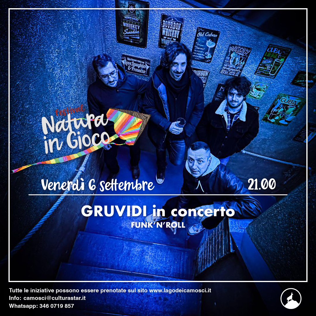 GRUVIDI in concerto